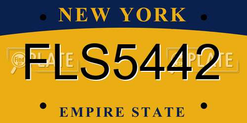 FLS5442 New York License Plate