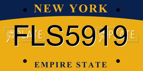 FLS5919 New York License Plate