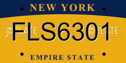 FLS6301 New York License Plate