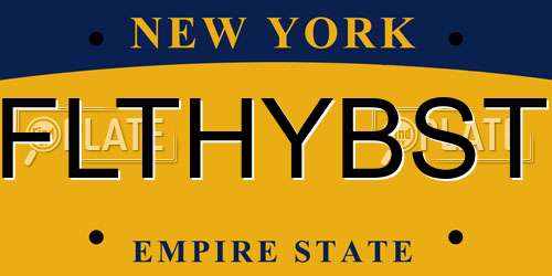 FLTHYBST New York License Plate