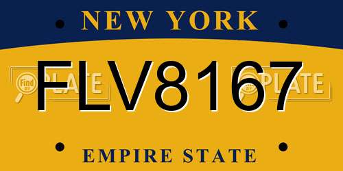 FLV8167 New York License Plate
