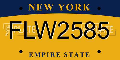 FLW2585 New York License Plate