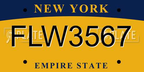 FLW3567 New York License Plate