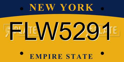 FLW5291 New York License Plate
