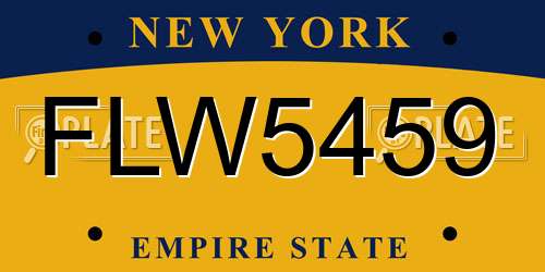 FLW5459 New York License Plate