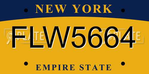 FLW5664 New York License Plate