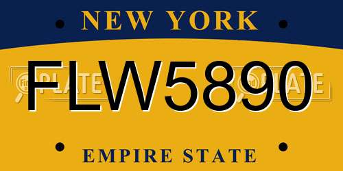 FLW5890 New York License Plate