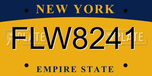 FLW8241 New York License Plate