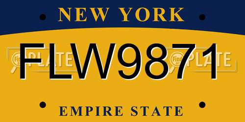 FLW9871 New York License Plate