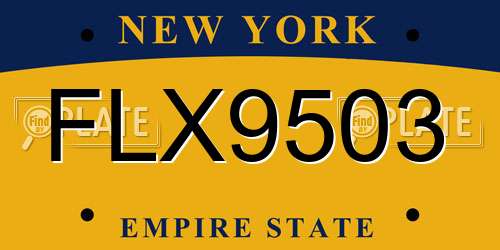 FLX9503 New York License Plate