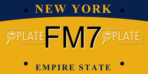 FM7 New York License Plate
