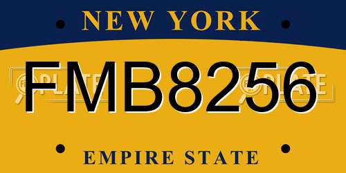 FMB8256 New York License Plate