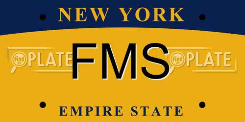 FMS New York License Plate