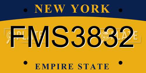 FMS3832 New York License Plate