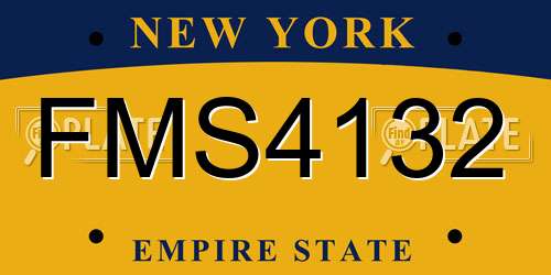 FMS4132 New York License Plate
