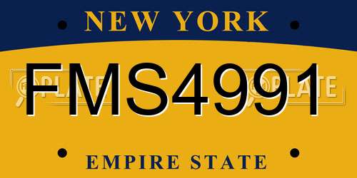 FMS4991 New York License Plate