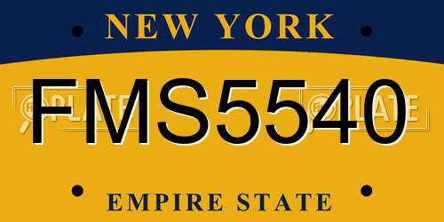 FMS5540 New York License Plate