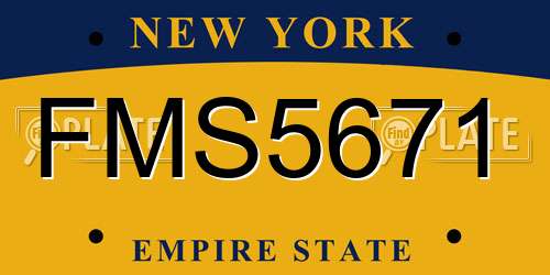 FMS5671 New York License Plate