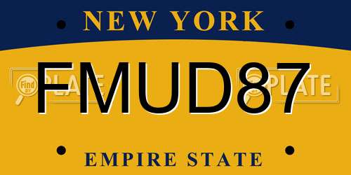 FMUD87 New York License Plate
