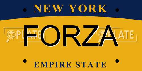 FORZA New York License Plate