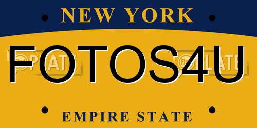 FOTOS4U New York License Plate