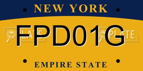 FPD01G New York License Plate