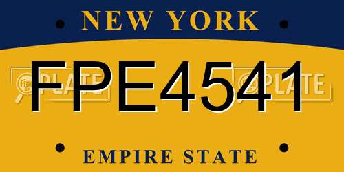 FPE4541 New York License Plate
