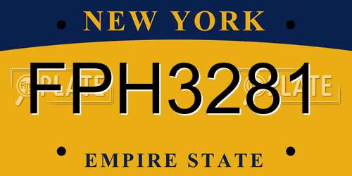 FPH3281 New York License Plate