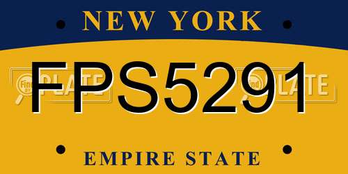 FPS5291 New York License Plate