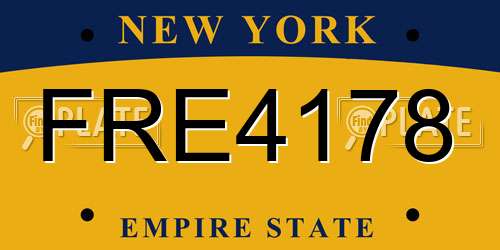 FRE4178 New York License Plate
