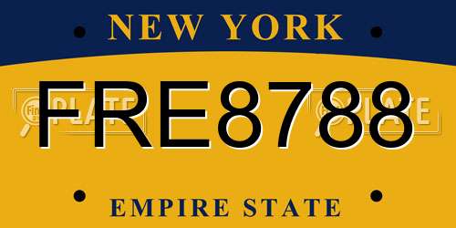 FRE8788 New York License Plate