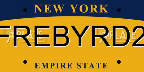 FREBYRD2 New York License Plate