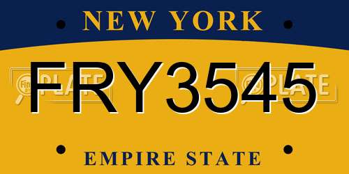 FRY3545 New York License Plate