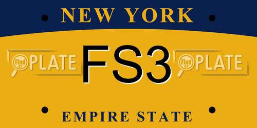 FS3 New York License Plate