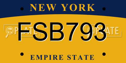 FSB793 New York License Plate