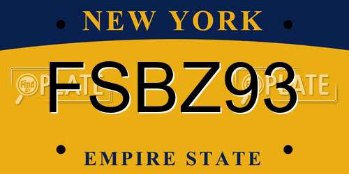 FSBZ93 New York License Plate