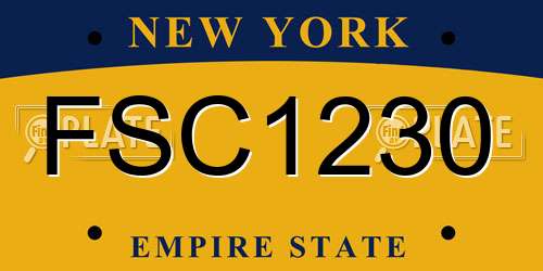 FSC1230 New York License Plate