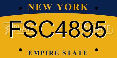 FSC4895 New York License Plate