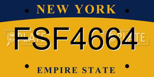 FSF4664 New York License Plate