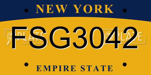 FSG3042 New York License Plate