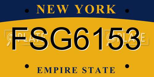 FSG6153 New York License Plate