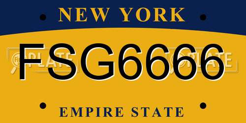 FSG6666 New York License Plate