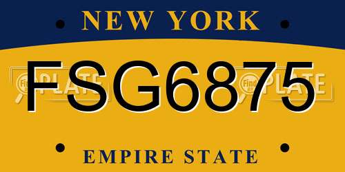 FSG6875 New York License Plate