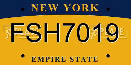 FSH7019 New York License Plate