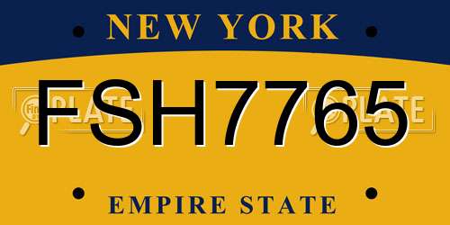 FSH7765 New York License Plate