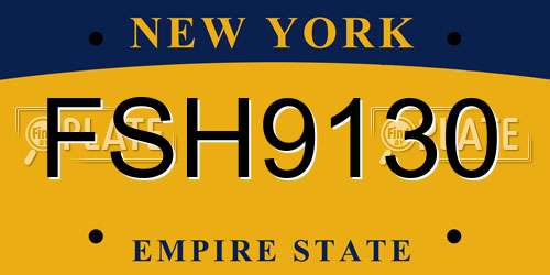 FSH9130 New York License Plate