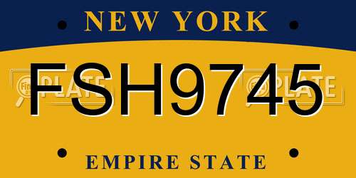 FSH9745 New York License Plate