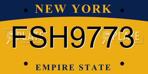 FSH9773 New York License Plate