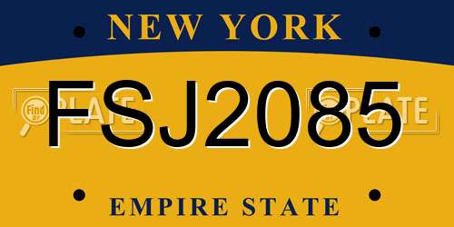 FSJ2085 New York License Plate