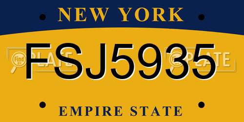FSJ5935 New York License Plate